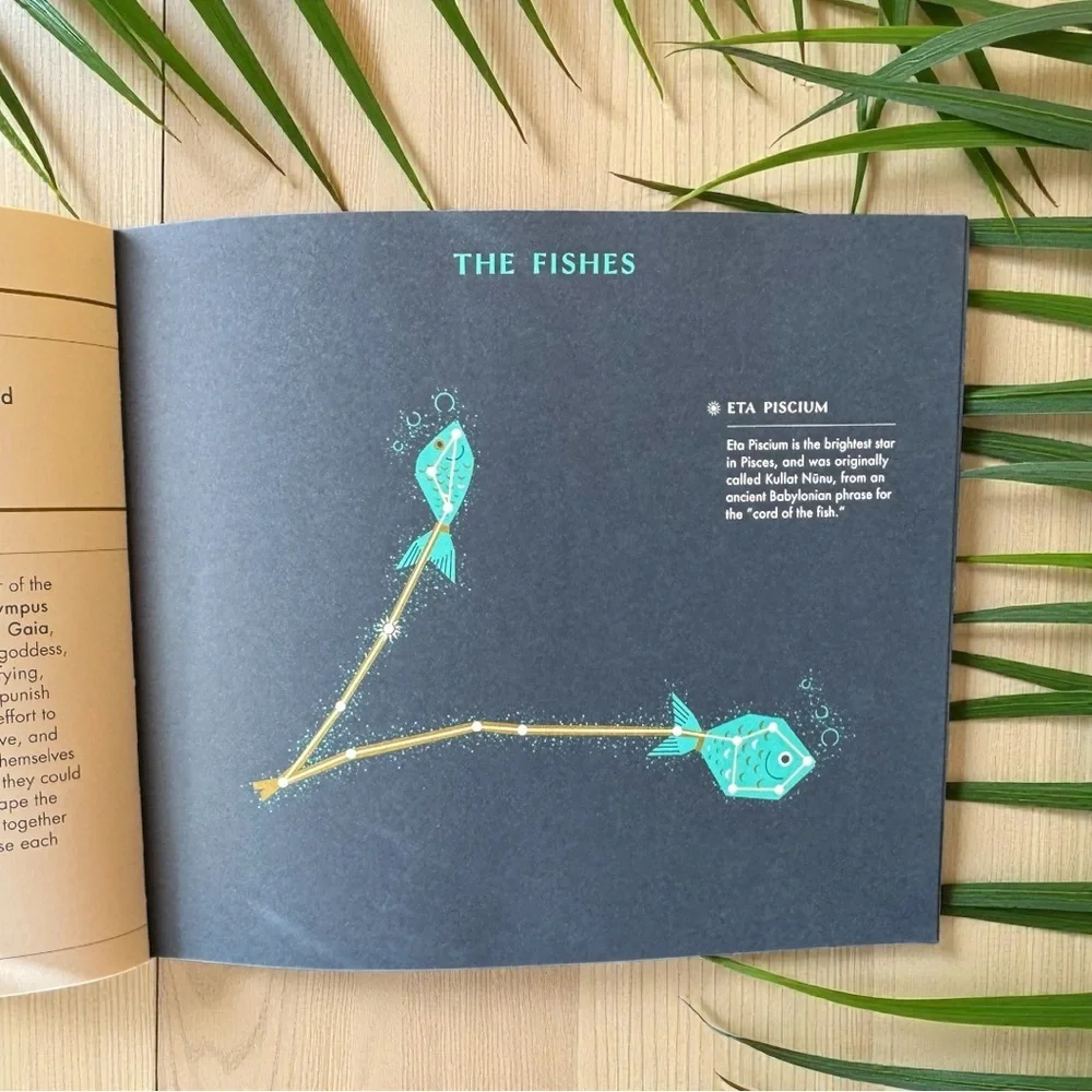 Seeing Stars: A Complete Guide to the 88 Constellations | Phaidon | 2018